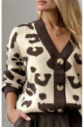 Leopard Print Soft Knitted V-neck Knitted Sweater